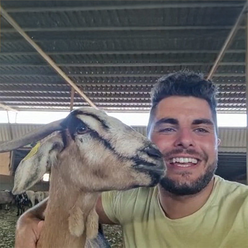 ¡Es La Leche! Save the Shepherds, Heroes of Artisan Foodways
