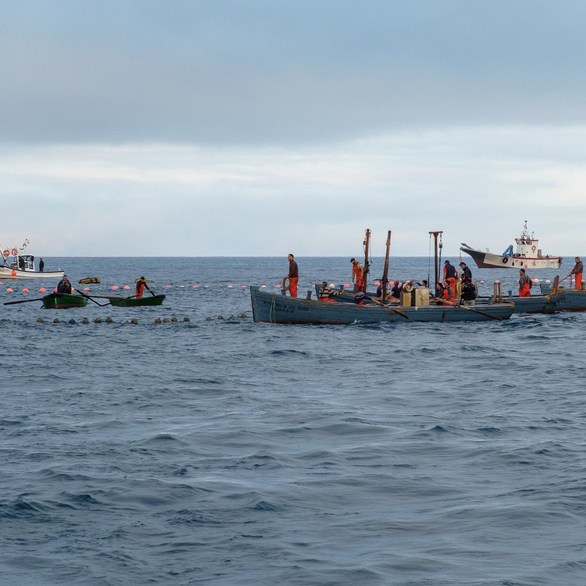 Almadraba boats with nets