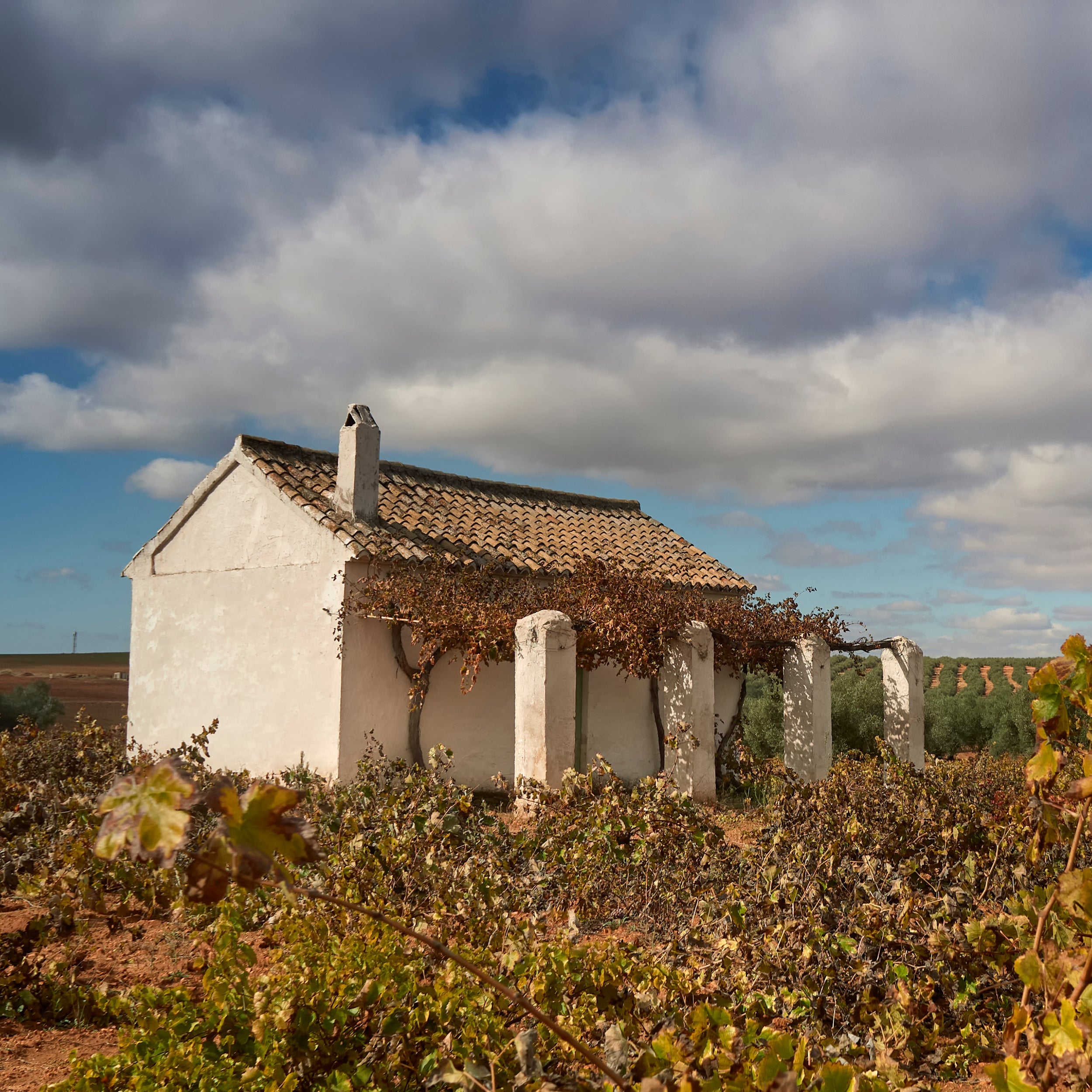 Ancient Sustainable Agriculture, Alive and Well in Spain