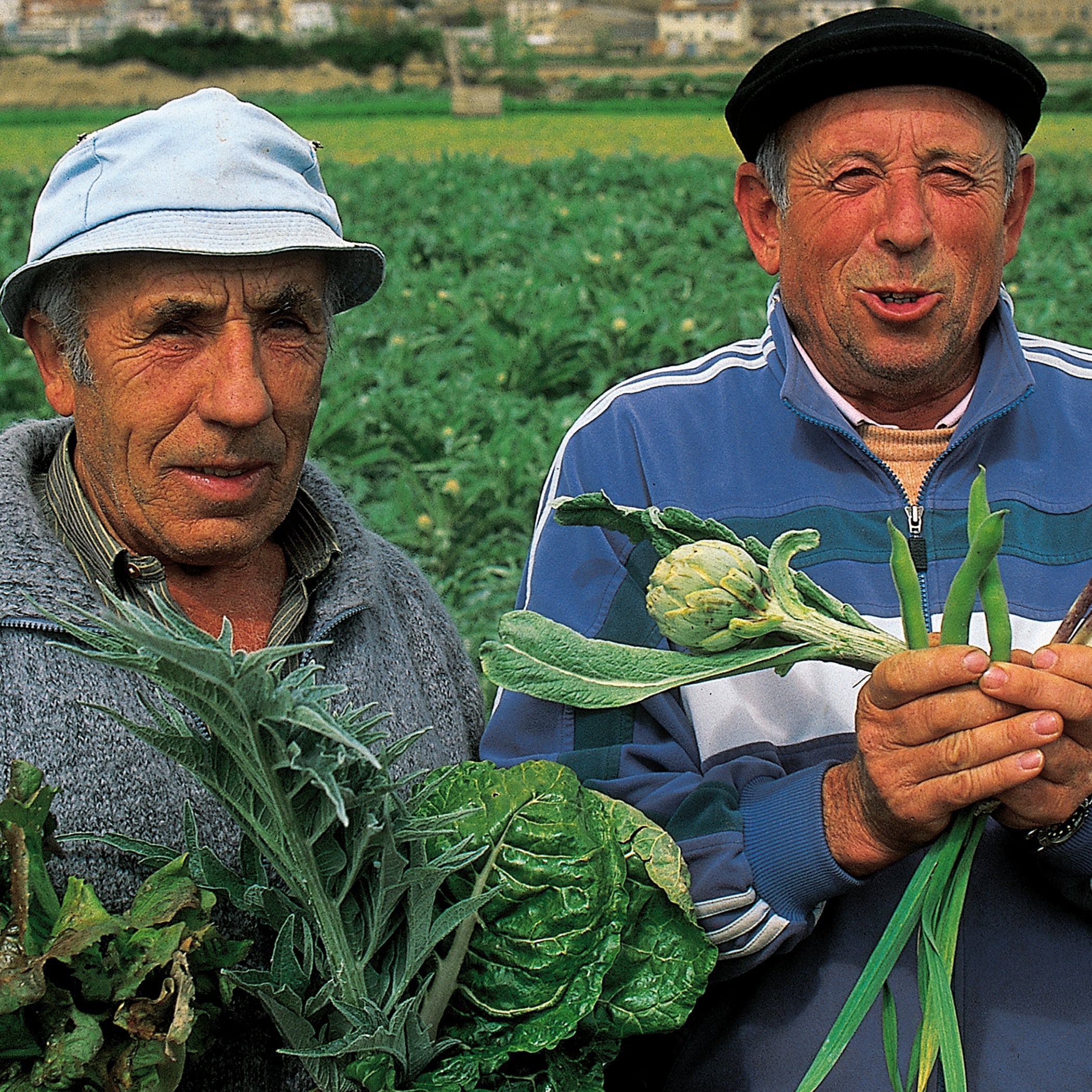 Harvest Bounty
