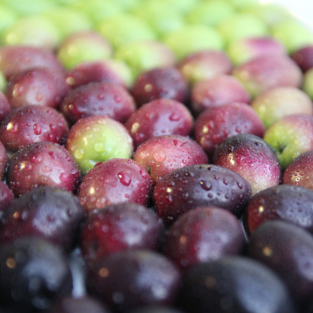A Pressing Issue - How to Select Great Olive Oil