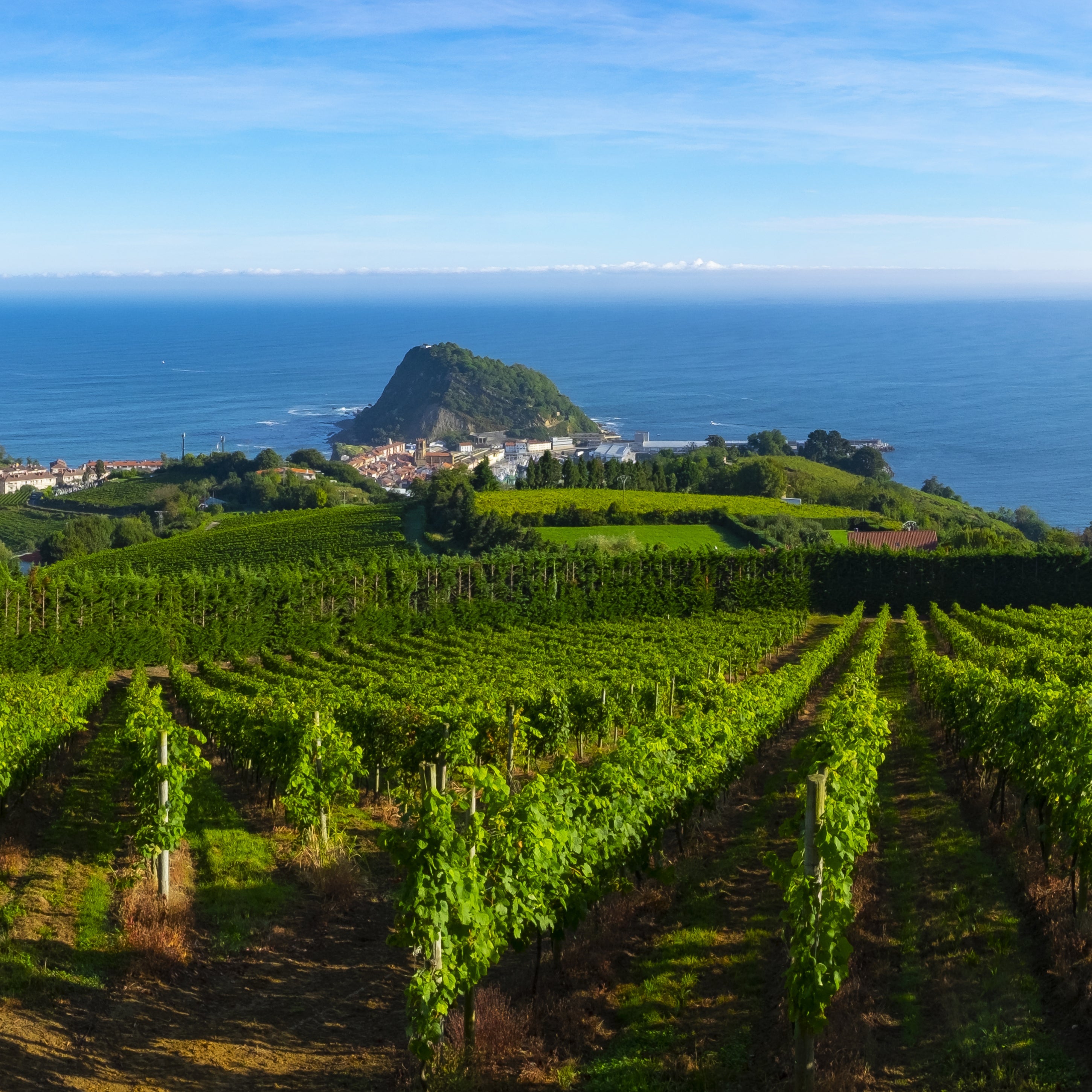 Txakoli - Fresh Basque Wine