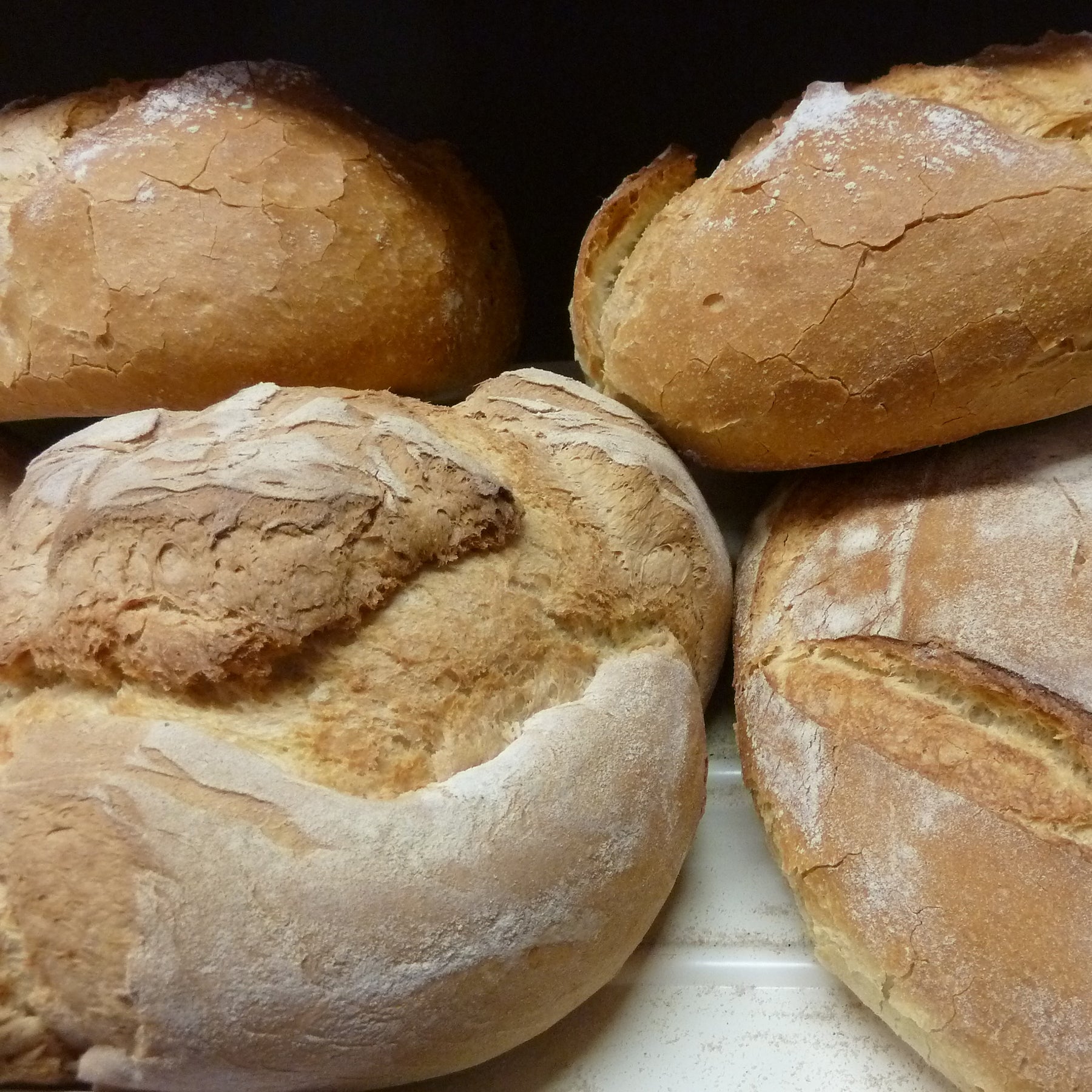 The Quest for Organic Artisan Bread