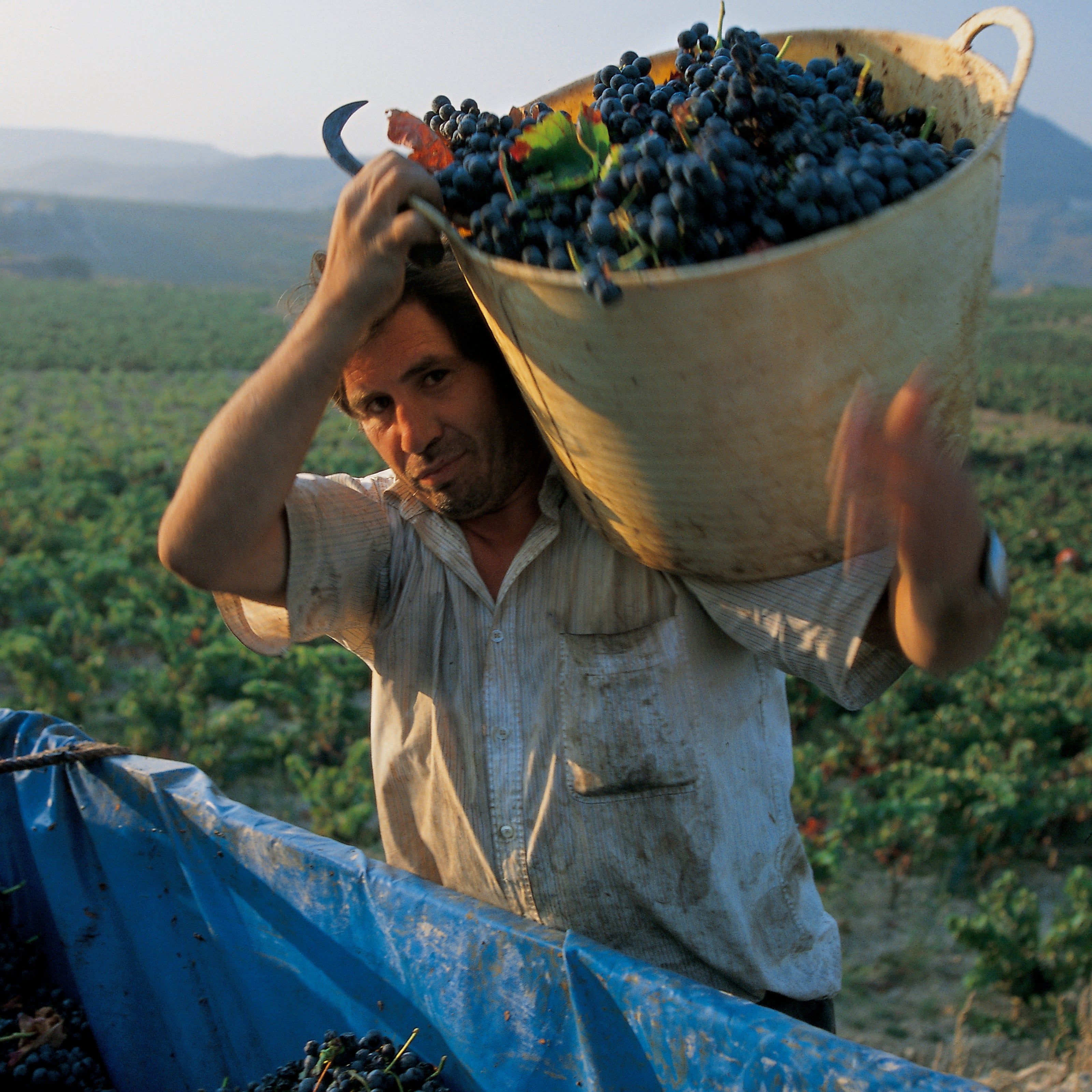 La Rioja: Farms and Vineyards Along the Pilgrimage Route