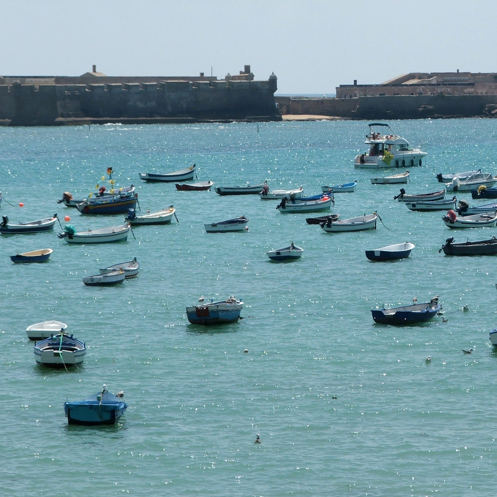 Worth Their Salt in Cádiz
