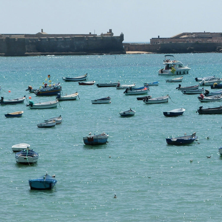 Worth Their Salt in Cádiz