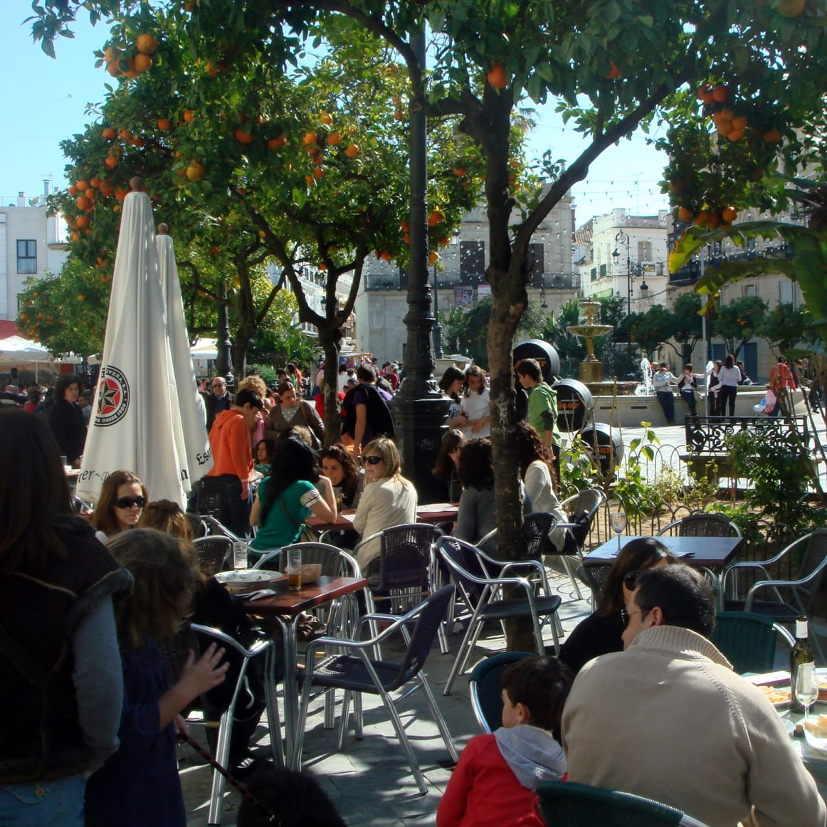 Discover Sunny Andalucía