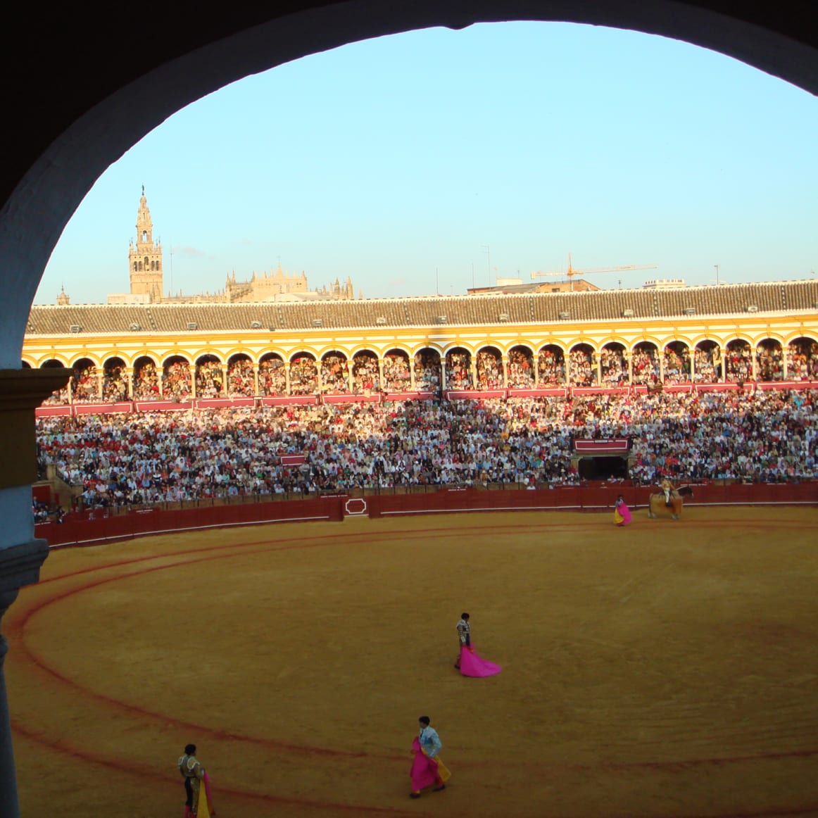 Spain: The Importance of Bulls