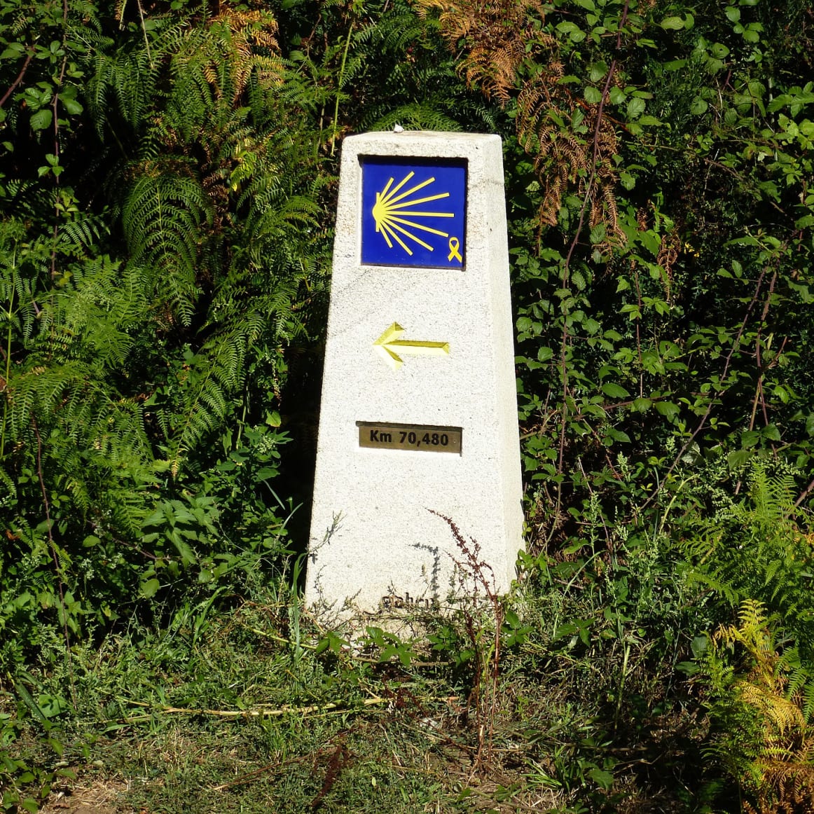 The Legend of Padrón
