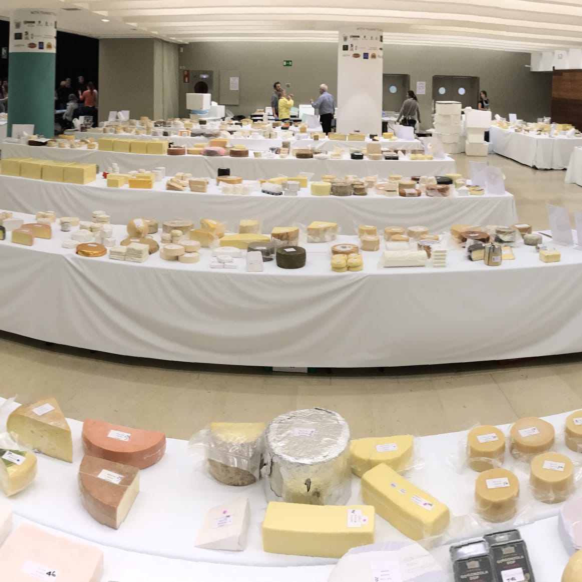3,000 Cheeses and 30 Tapas in 3 Days