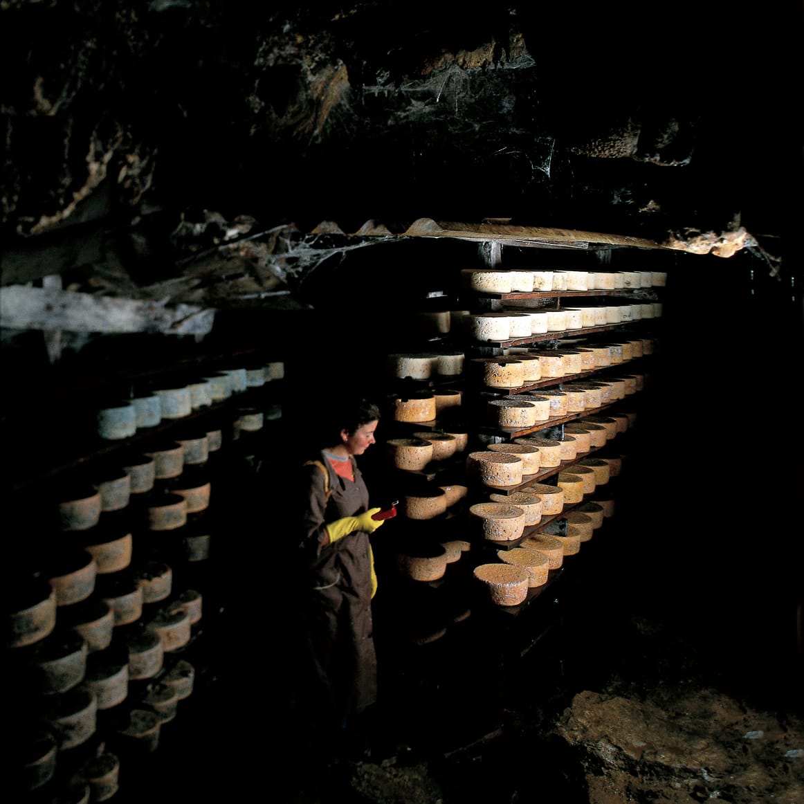 Ancient Traditions on the Brink
