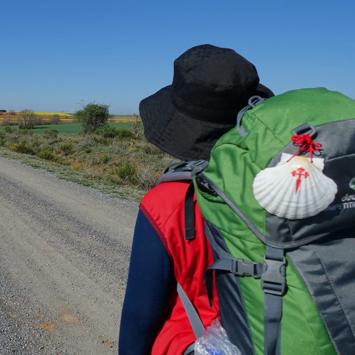 Camino de Santiago: The Path to Spain's Soul
