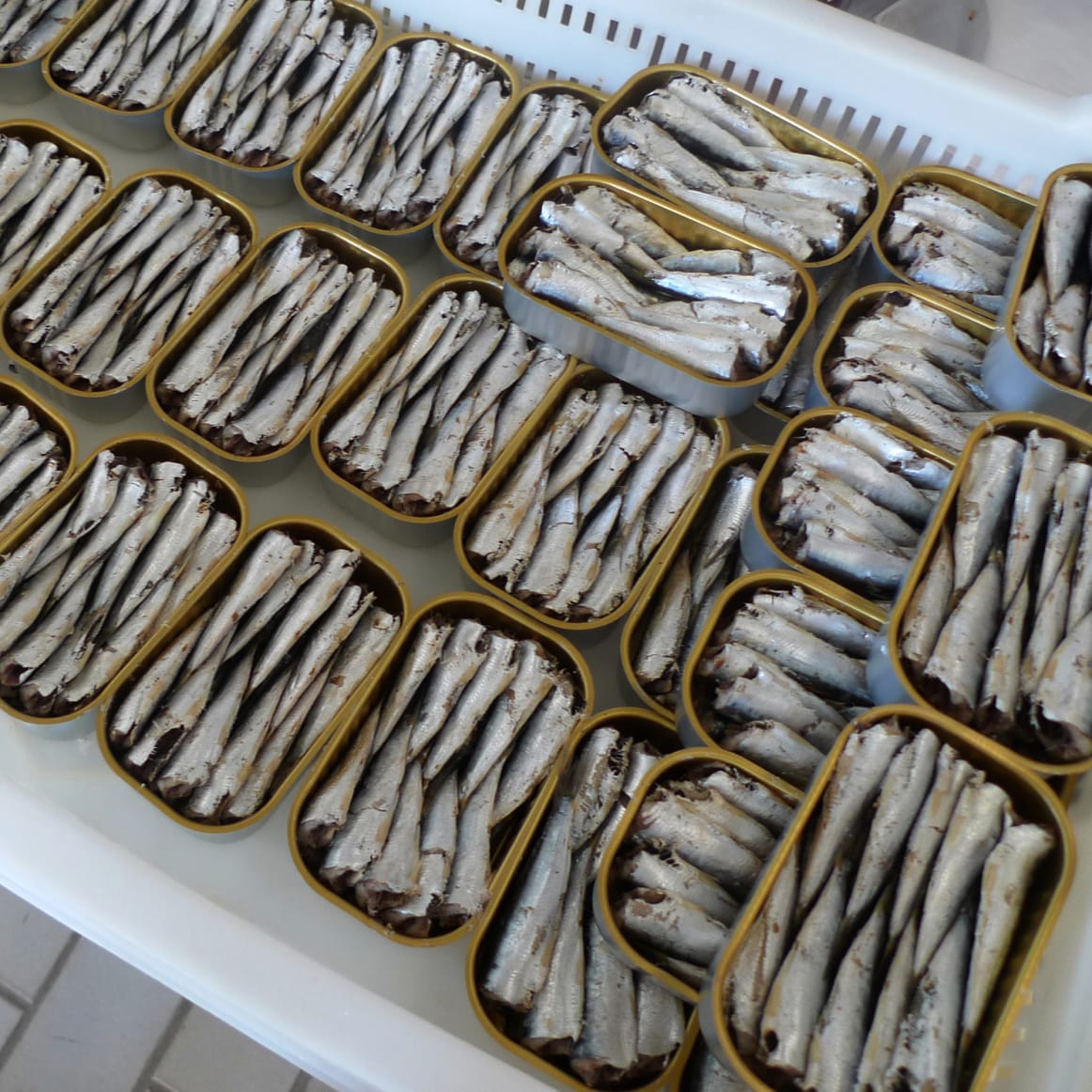 Little Fishes, Healthy and Delicious