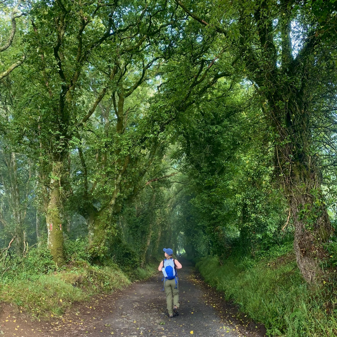 Camino Stories, Walking the Way