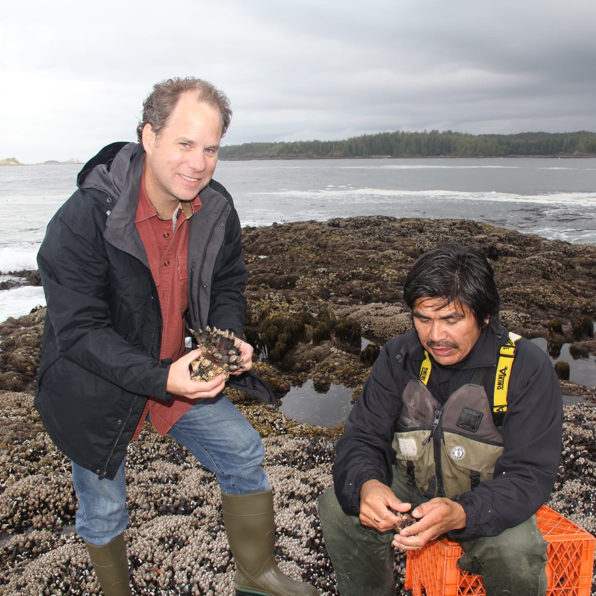 Barnacle Harvest at the Edge of the World
