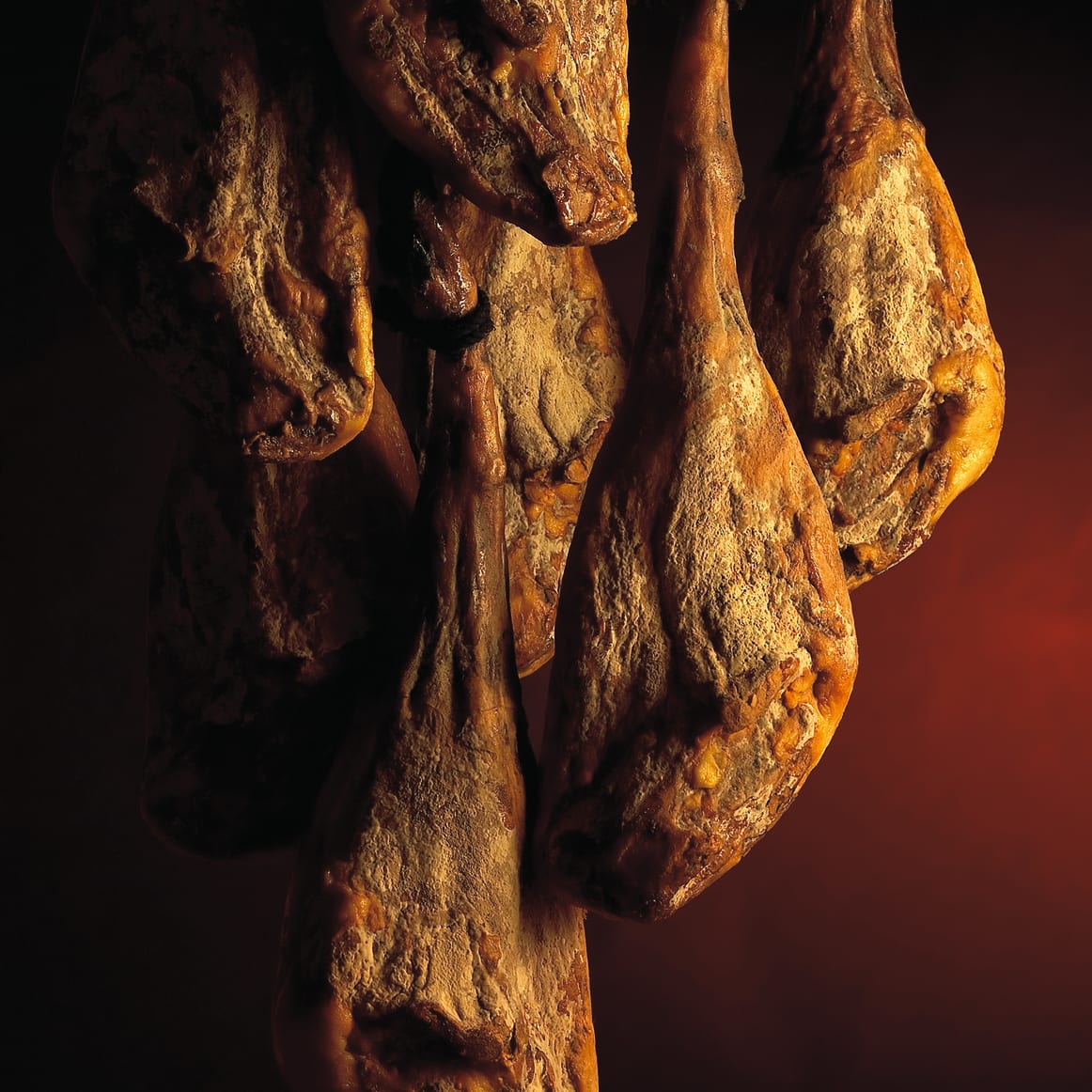 Jamón Ibérico, the Treasure of Spain