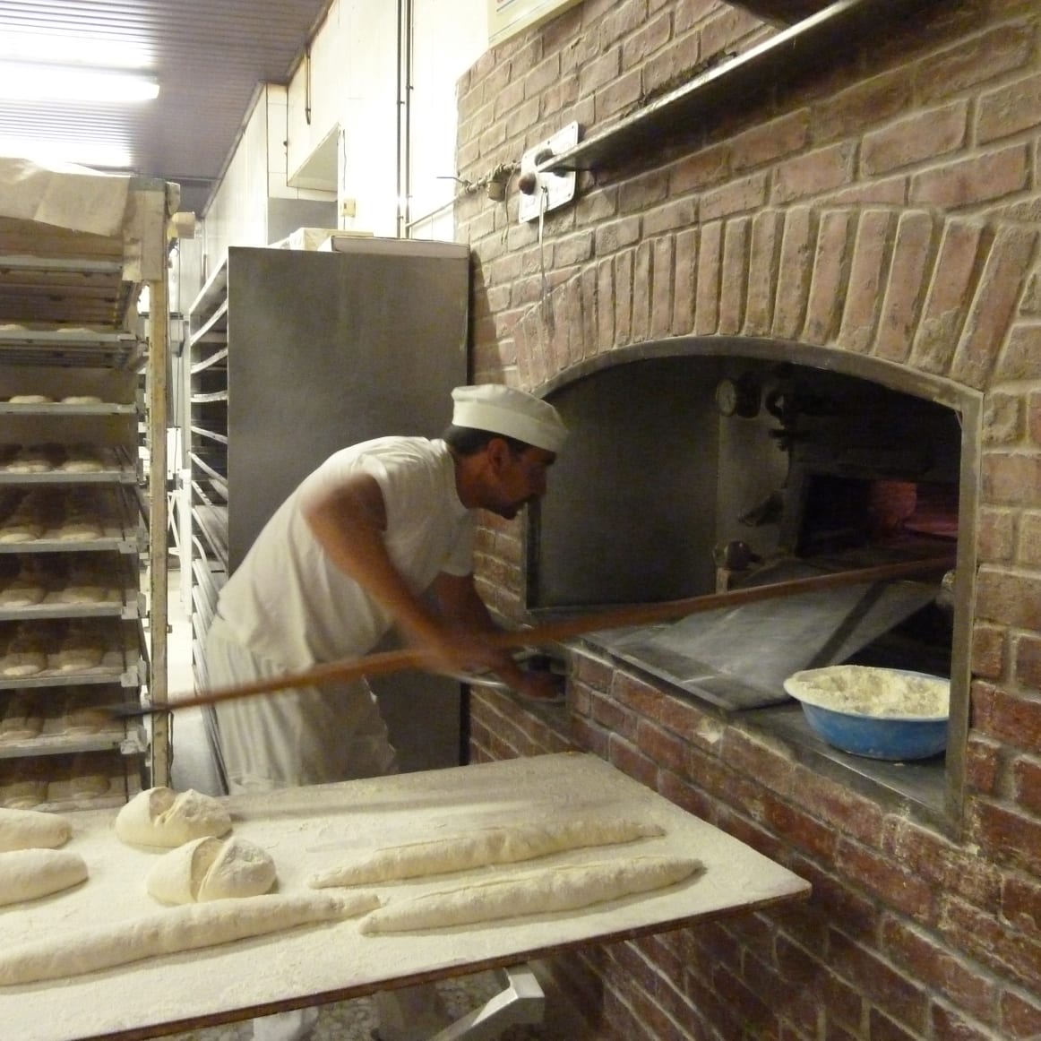 Quest for Great Bread