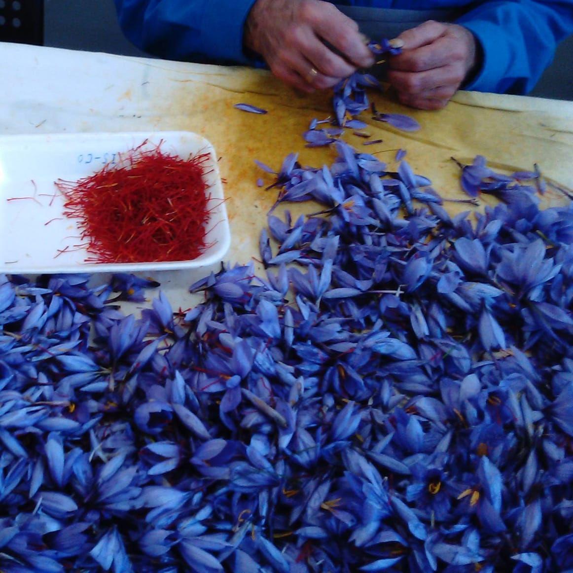 Artisan Saffron