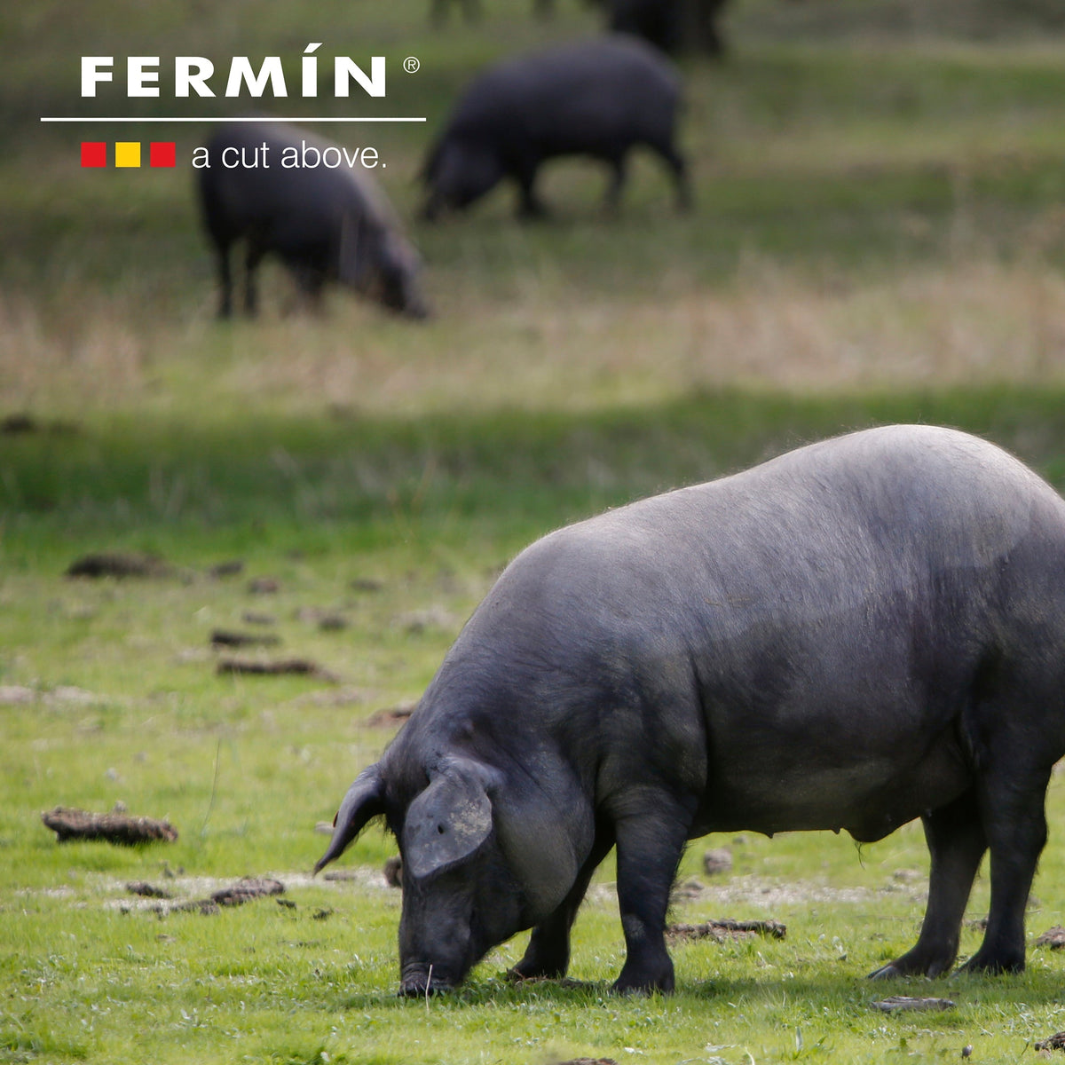 Photo of Fermin Iberico Sausage Trio