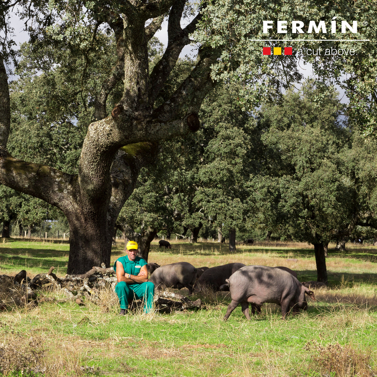 Bone-In Jamón Serrano by Fermín - FREE SHIPPING!