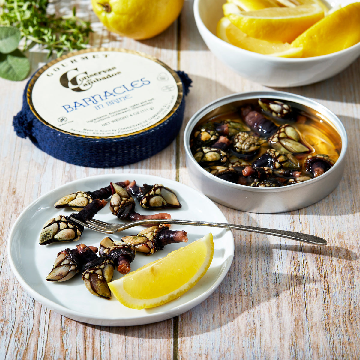 Percebes de Galicia - Goose Barnacles by Conservas de Cambados