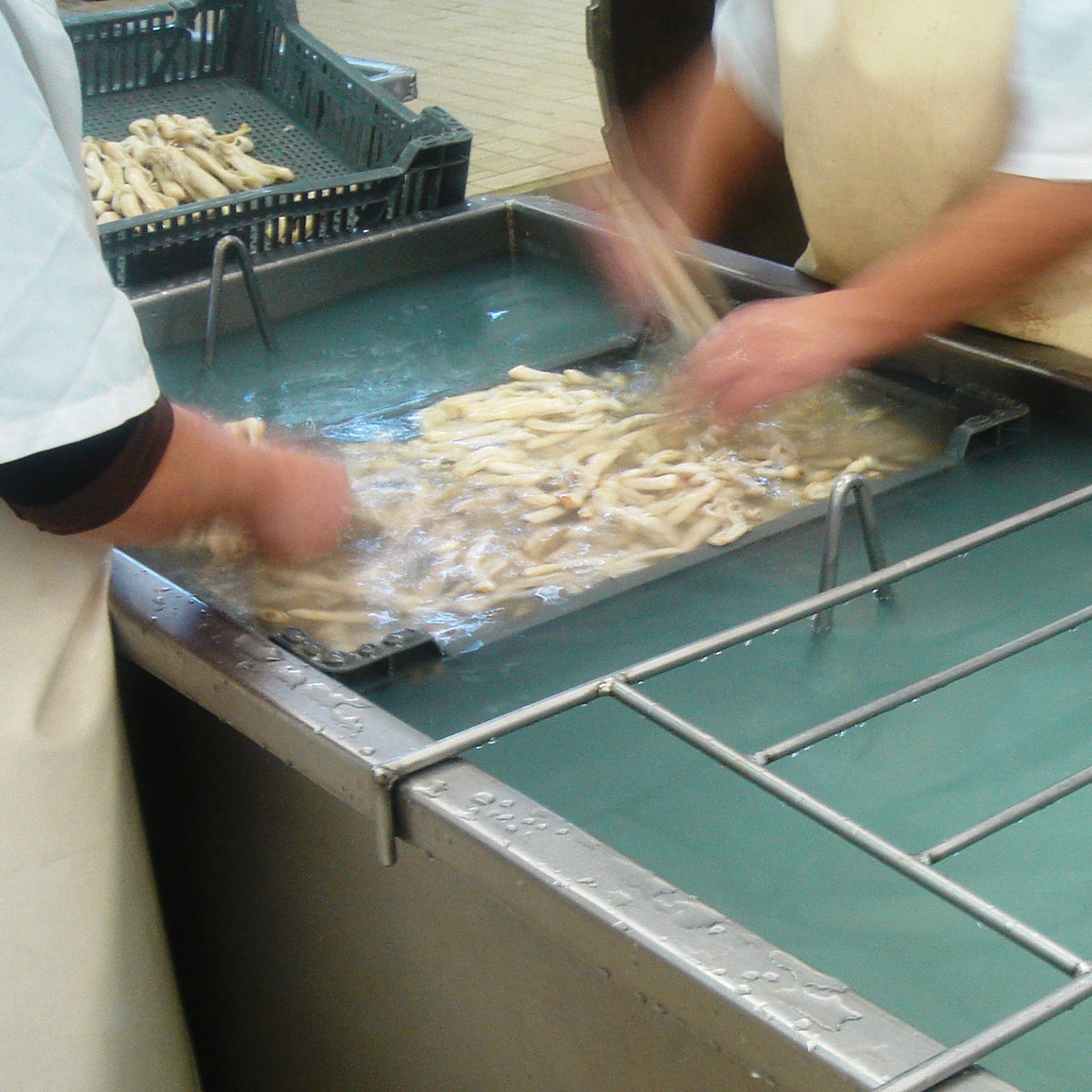 Navajas by Conservas de Cambados - Razor Clams