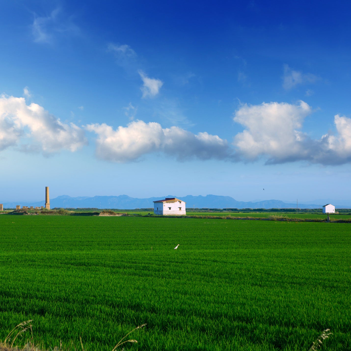 Ancient Sustainable Agriculture, Alive and Well in Spain
