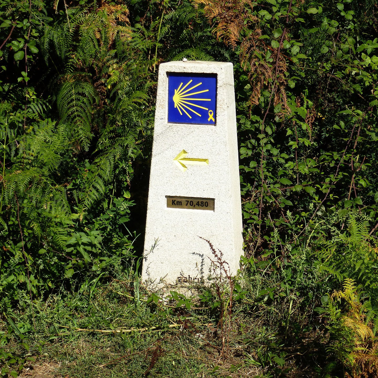 Camino de Santiago: The Path to Spain's Soul