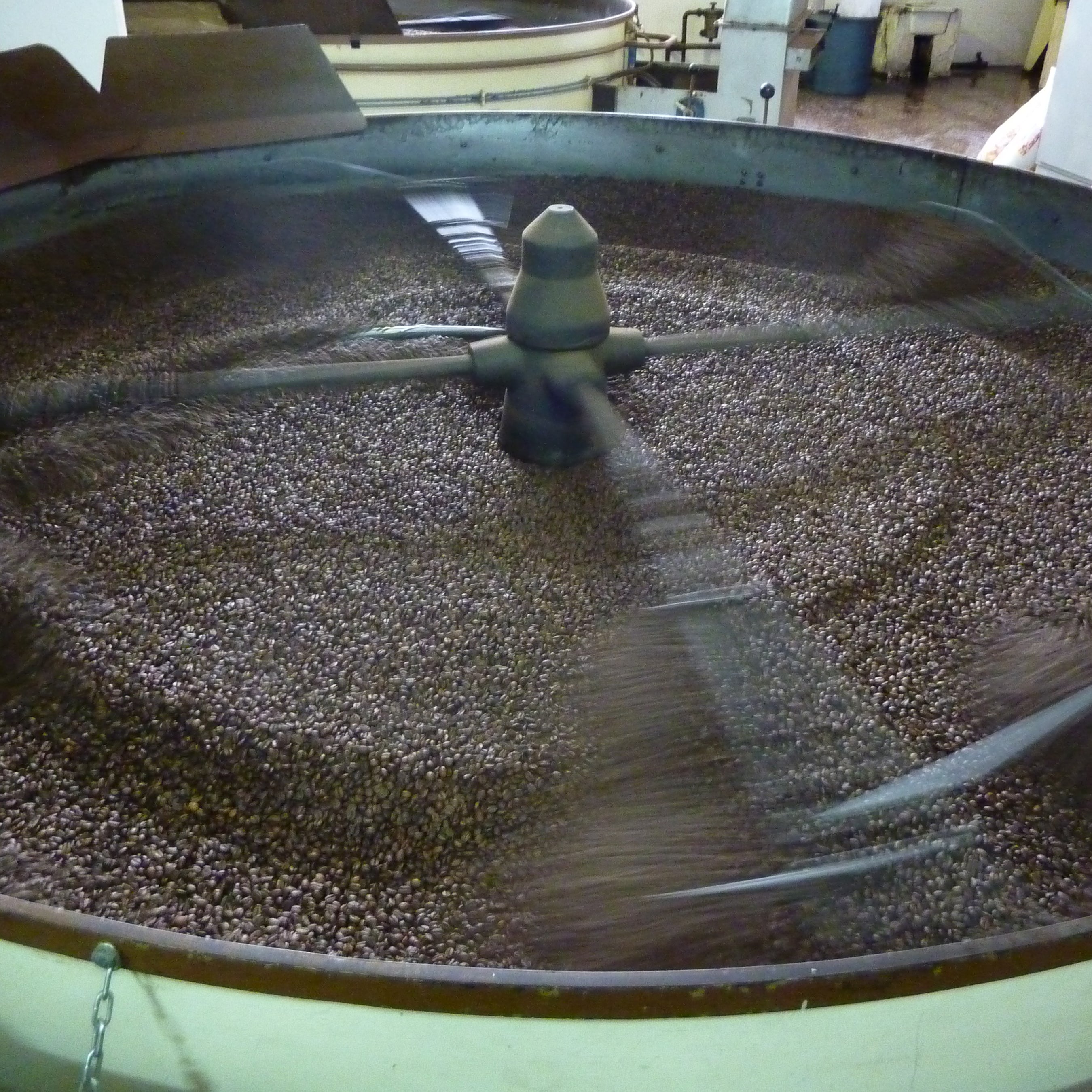 Coffee: The Heartbeat of Spain