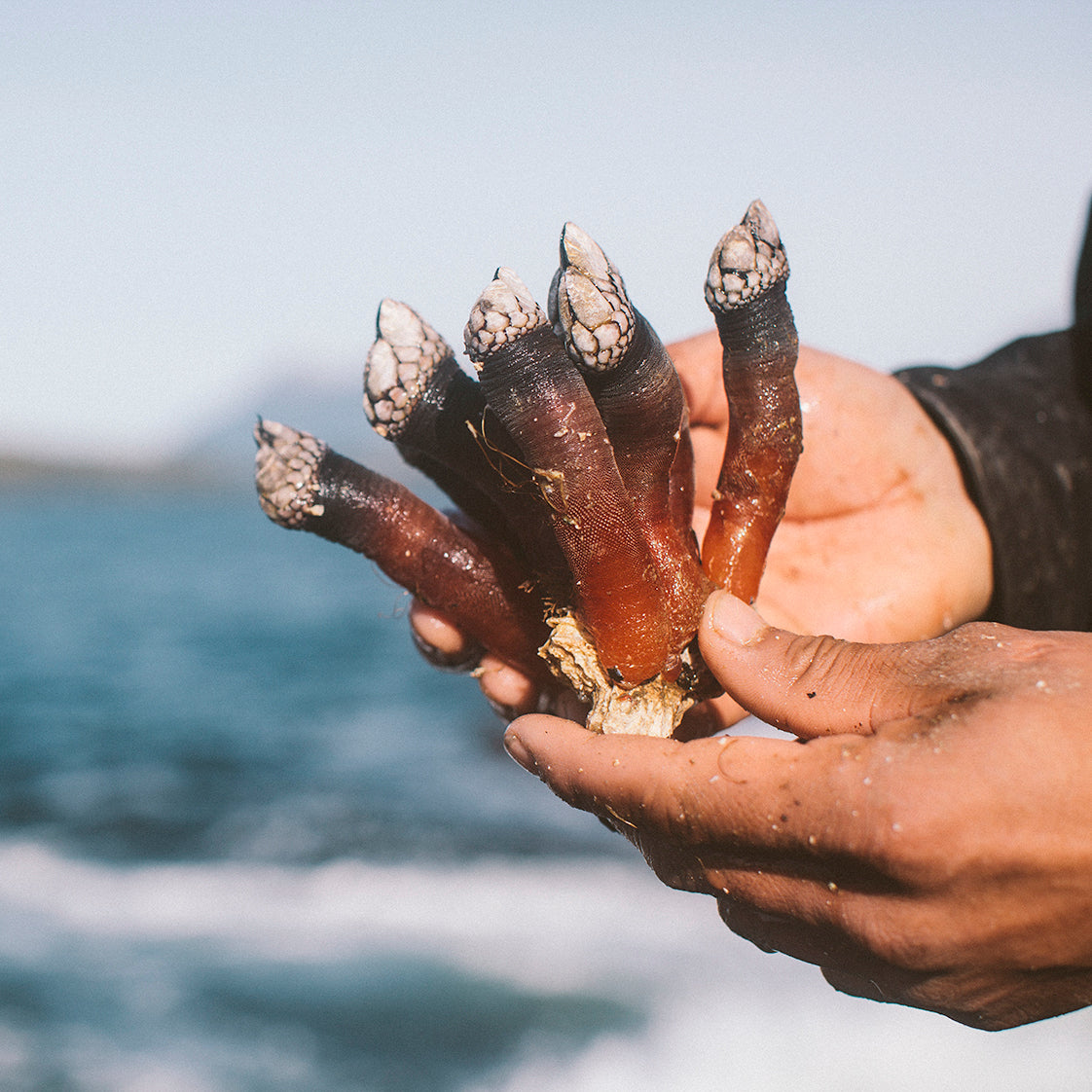 Spain's Best Seafood Traditions