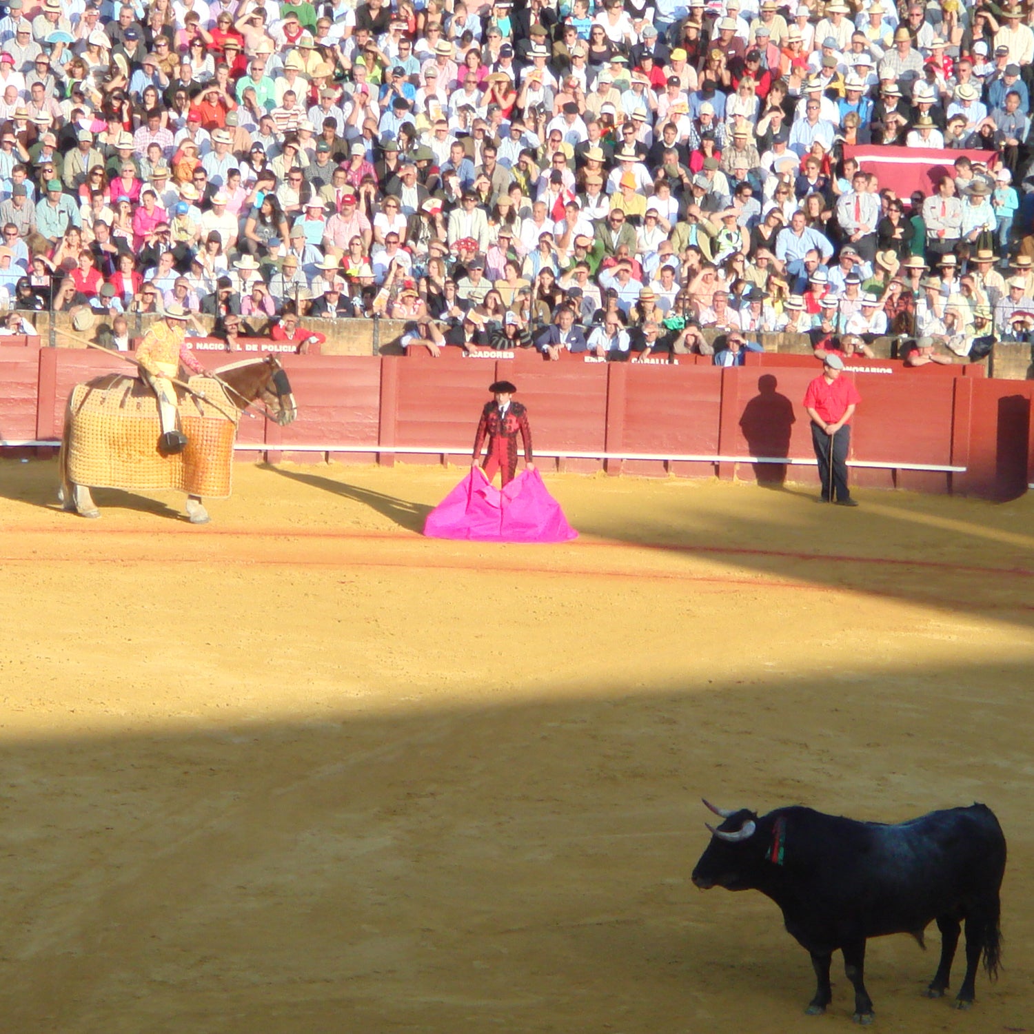 Spain: The Importance of Bulls