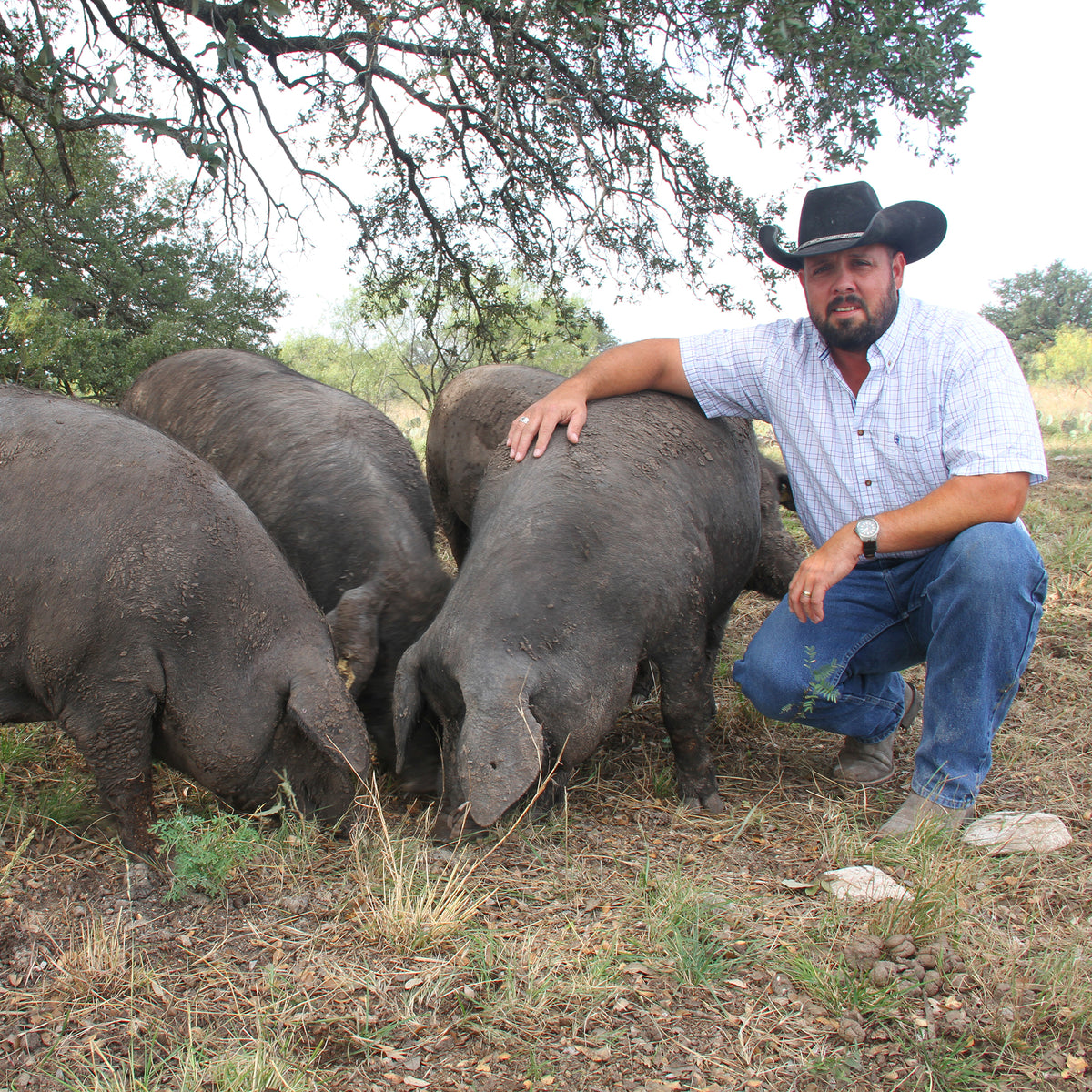 Sliced Spicy Pecan-Smoked Chorizo by Texas Iberico®