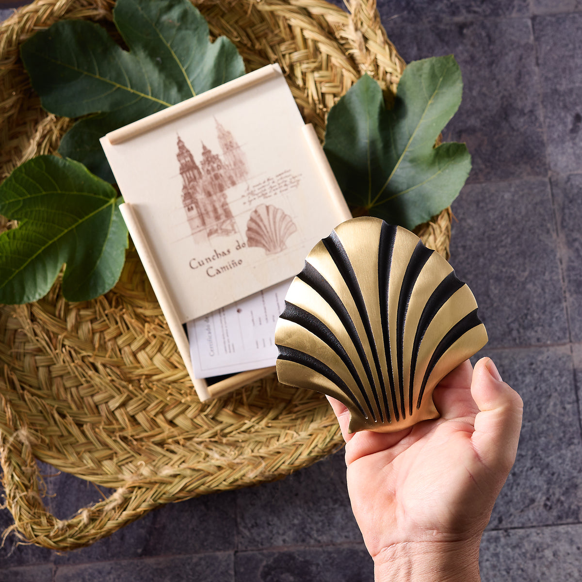 Camino de Santiago Bronze Scallop Shell
