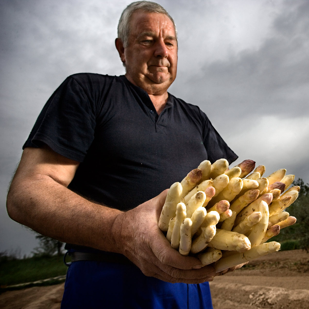 Extra Thick White Asparagus Spears, D.O. Navarra