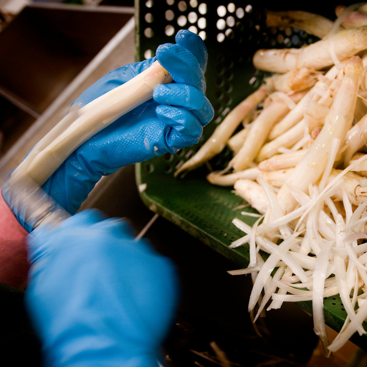 Extra Thick White Asparagus Spears, D.O. Navarra